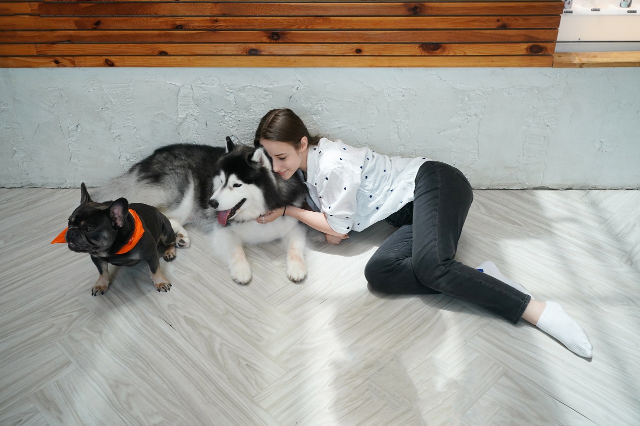 Flooring Solutions for Pet Owners: The Benefits of Epoxy and Polyaspartic Coatings